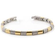 0313-02 Titanium dames armband bicolor