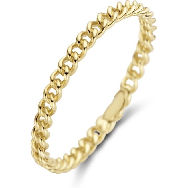 Blush 1229YGO 14k gouden schakelring 2 mm