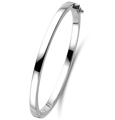 Treasure Collection TC-23018 Massieve slavenarmband recht 4 mm