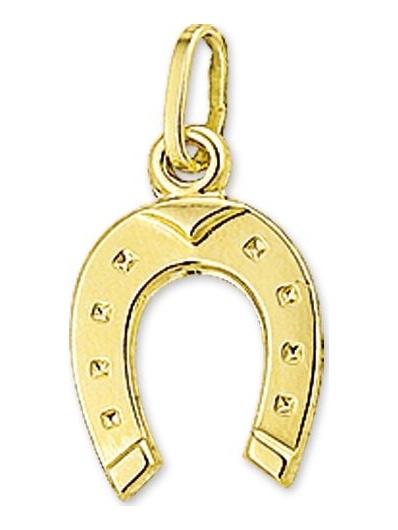 Treasure Collection TC-9022 Gouden hoefijzer