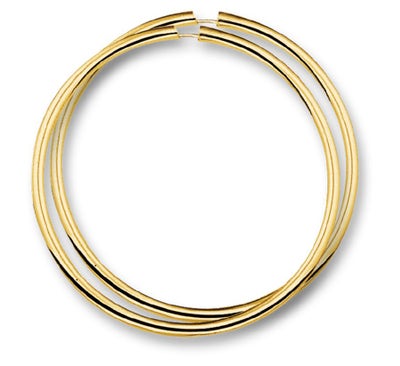 The House Of Jewels THOJ2289 14 karaat gouden creolen 2.5 mm dikte