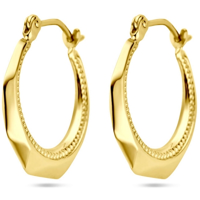 oorringen lapide 20 mm 14K geelgoud