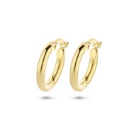 The House Of Jewels THOJ0048 14 karaat gouden creolen ronde buis 2,5 mm dikte - vooraanzicht