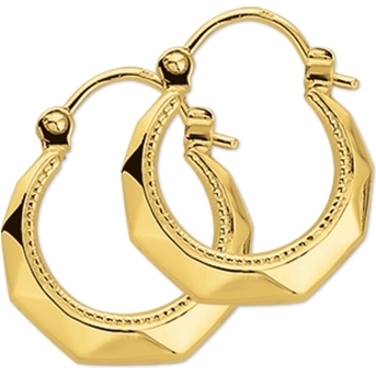 Treasure Collection N300 14 karaat gouden klapcreolen