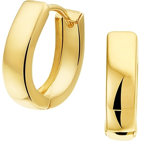 Treasure Collection TC-49225 14 karaat gouden klapcreolen 12 mm
