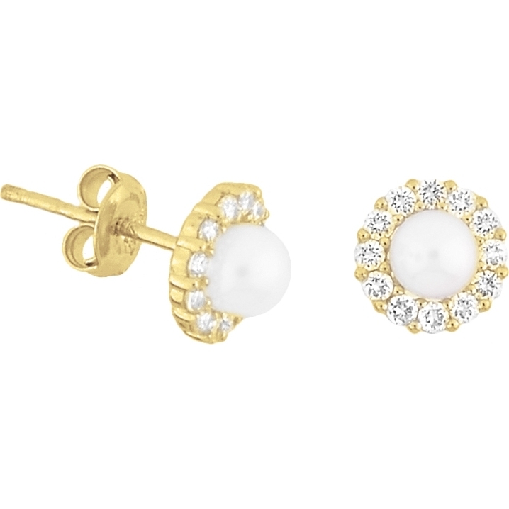 Treasure Collection TC-42834 Gouden oorknoppen parel 6,5x6,5 mm