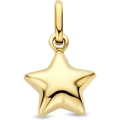 hanger ster 14K geelgoud