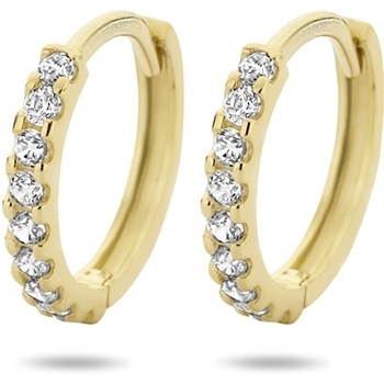 Treasure Collection TC-42893 Gouden klapcreolen zirkonia