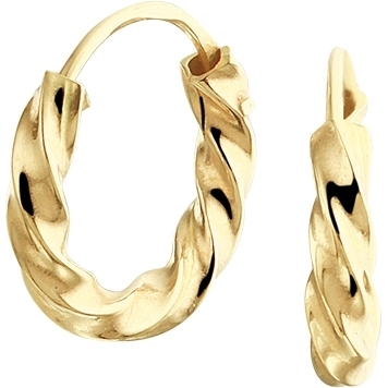 Treasure Collection TC-49159 14 karaat gouden oorringen gedraaide buis 2 mm