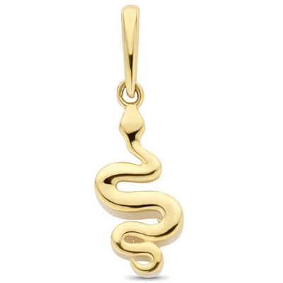 hanger slang 14K geelgoud