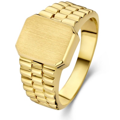 Treasure Collection 881582B 14 karaat gouden zegelring 15,5 x 9,5 mm