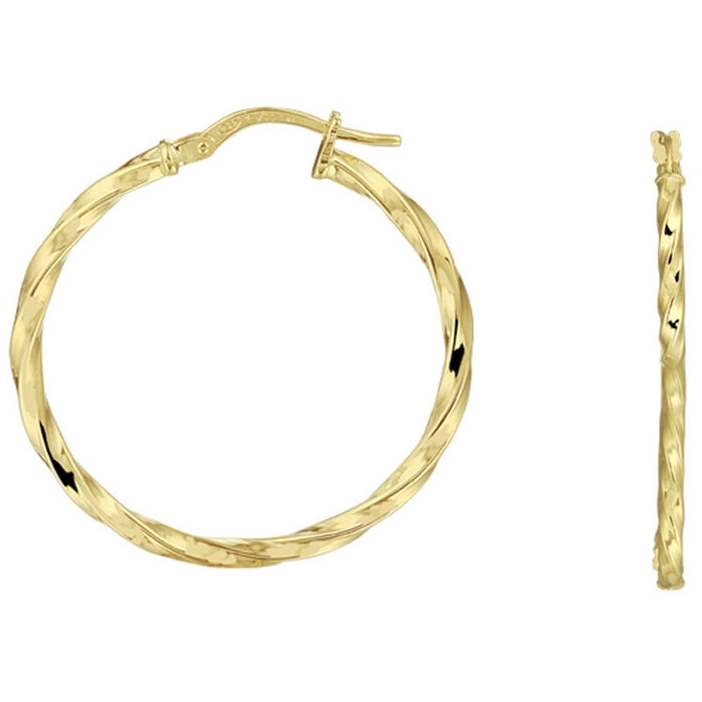 Treasure Collection L581 14 karaat Zilgold oorringen 2 mm