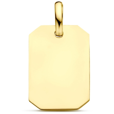 9k graveerhanger 20 mm 9K geel kleurig