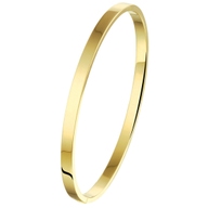 Treasure Collection TC-23061 Gouden slavenarmband met zilveren kern 4 mm breed