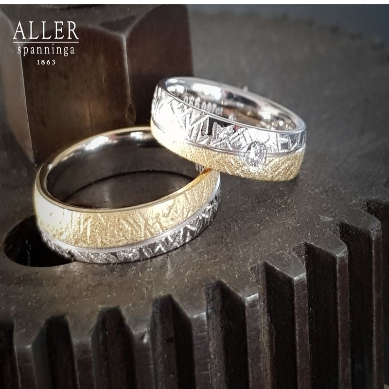 Aller Spanninga 966 14 karaat bicolor gouden trouwringen 0,07 ct diamant