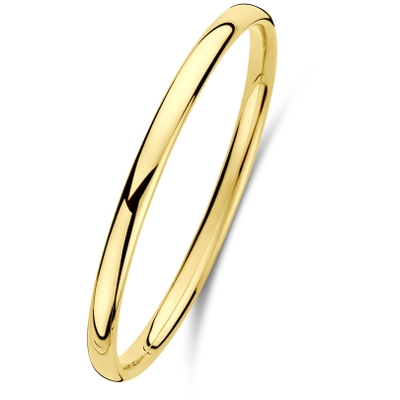 bangle scharnier ovale buis massief 5 x 56 mm Silgold geel met zilverkern
