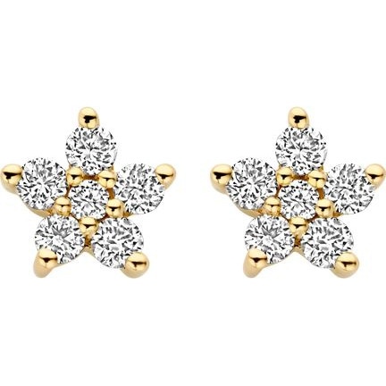 Blush LG7018Y 14k gouden oorknopjes ster diamant lab grown