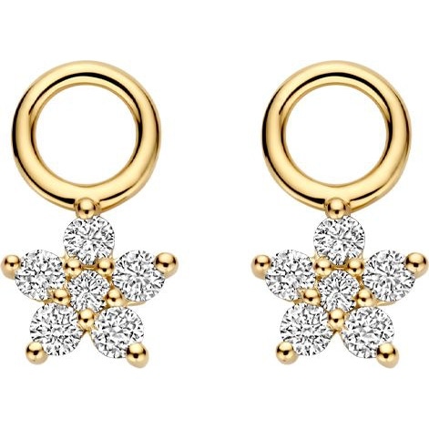 Blush LG9005Y 14k gouden oorbedels ster diamant lab grown