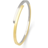 03041-05 Titanium bicolor slavenarmband 60 mm