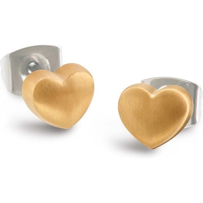 05056-02 Titanium oorknopjes goudkleurig 55 mm