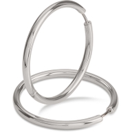 05070-01 Titanium oorringen 39 mm