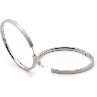0508-01 Titanium oorringen 40 mm