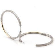 0508-02 Titanium bicolor oorringen 40 mm