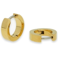 0510-13 Titanium oorringen goudkleurig 13 mm