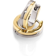 0563-04 Titanium bicolor oorringen met 002 ct diamant