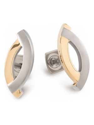 0591-02 Titanium bicolor oorknopjes 17 mm