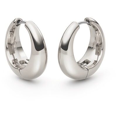 05096-01 Titanium oorringen 21 mm