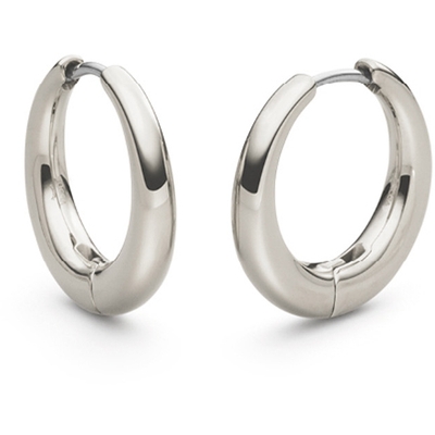 05100-01 Titanium oorringen 20 mm