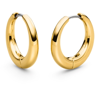 05100-02 Goudkleurige titanium oorringen 20 mm