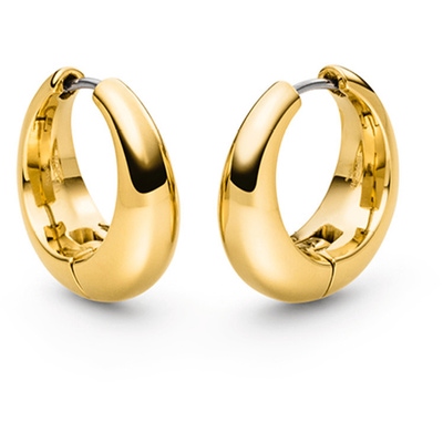 05096-02 Goudkleurige titanium oorringen 21 mm