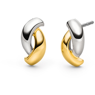05103-02 Bicolor titanium oorknopjes 14 mm