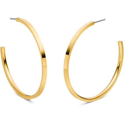 05098-02 Goudkleurige titanium oorringen 50 mm