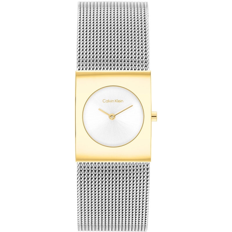 Calvin Klein CK25100139 Dames Horloge 21mm