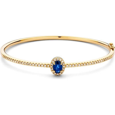 AG138041 14k gouden slavenarmband met saffier en diamant