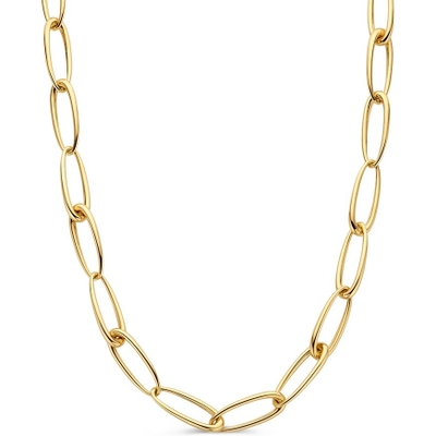 CT107944 14k gouden schakelketting 45 cm