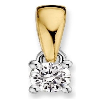 HG416508 14 karaat gouden hanger met 010 ct diamant