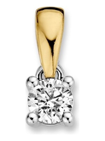 Excellent Jewelry HG416509 14 karaat gouden hanger met 0,16 ct diamant