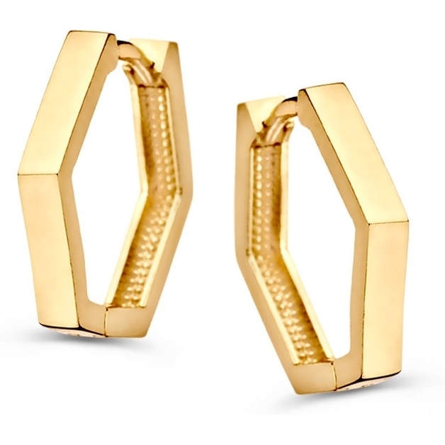 Excellent Jewelry OE107724 14k gouden oorringen zeshoek
