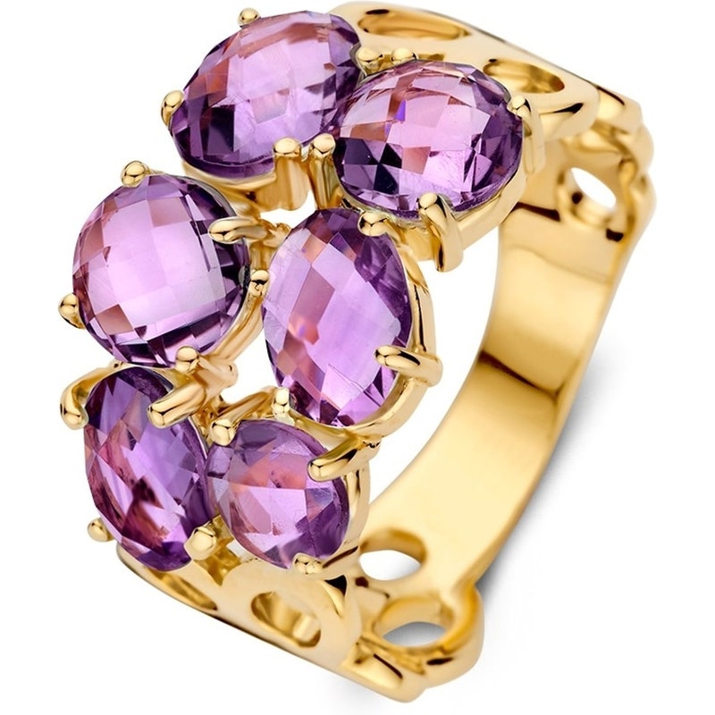 Excellent Jewelry RC137926 14k gouden ring met amethist 13 mm