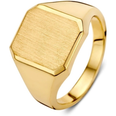 Excellent Jewelry RE101162 14k gouden zegelring