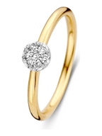 Excellent Jewelry RG416518 14 karaat gouden ring met 0,10 ct diamant