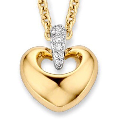 Excellent Jewelry HP415311 14 karaat bicolor gouden hanger hartje met 0,05 ct diamant