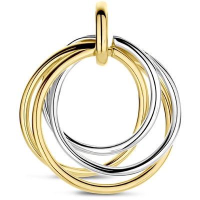 hanger 21 mm 14K bicolor goud geelwit