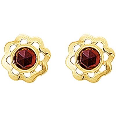 oorknoppen granaat 14K geelgoud