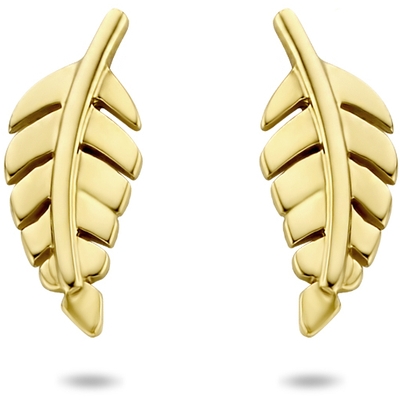 oorknoppen veer 8 mm 14K geelgoud