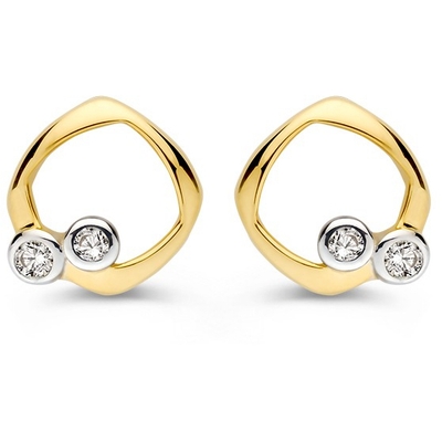 Oorstekers bicolor zirkonia